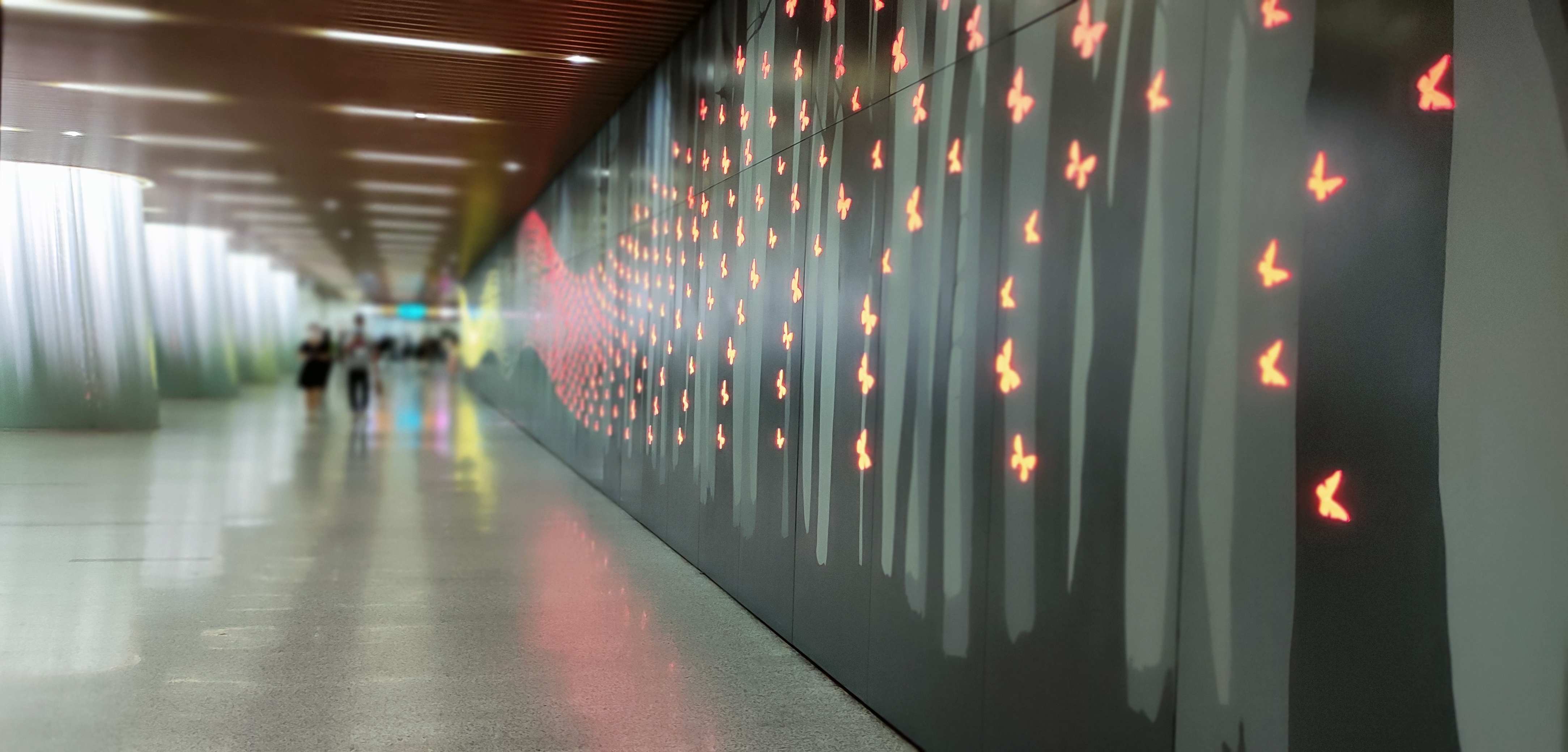 白坭鎮(zhèn)手術(shù)